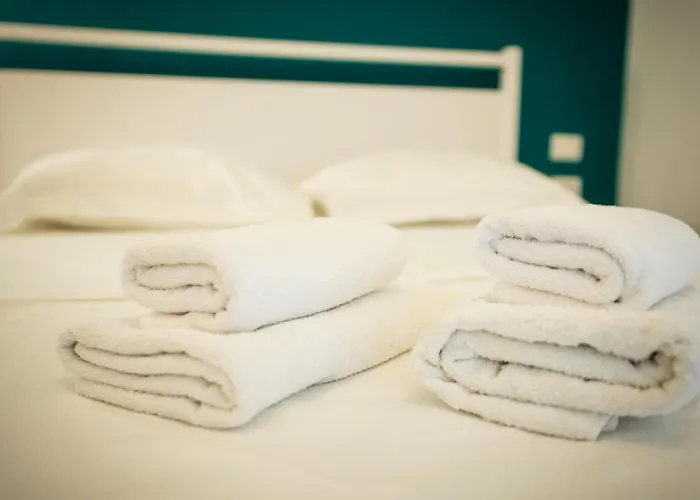 Terra Cane Apartament